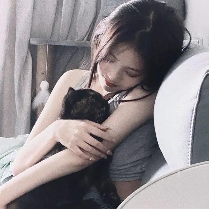 小鸡
